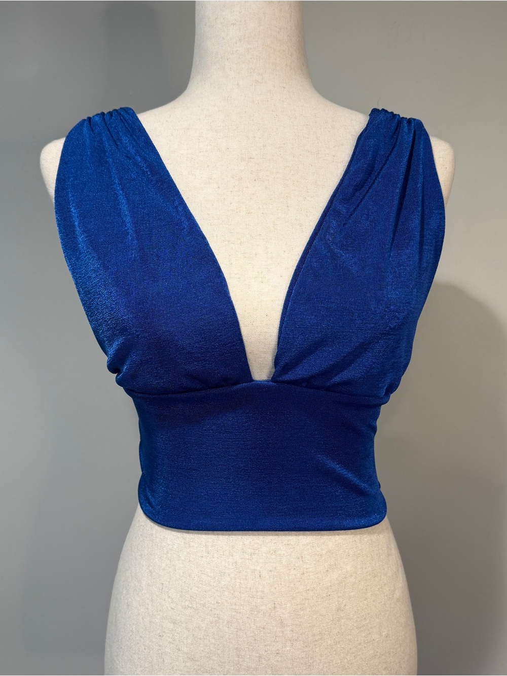 Blue Plunging V Neck Crop Top Deep V Back Stretch Party Festival Going Out S